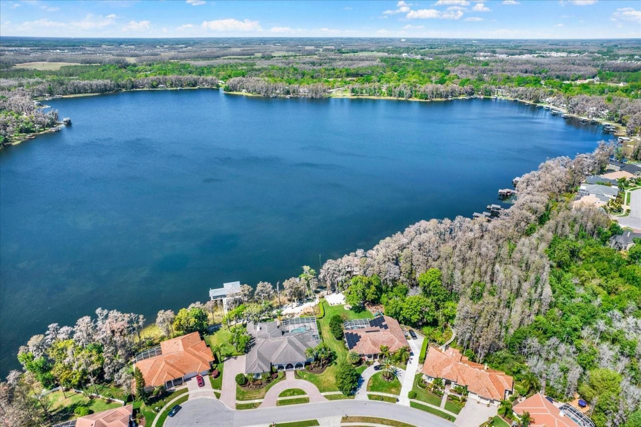 5643 White Ibis Lane, Land O Lakes, FL 34638 Photo