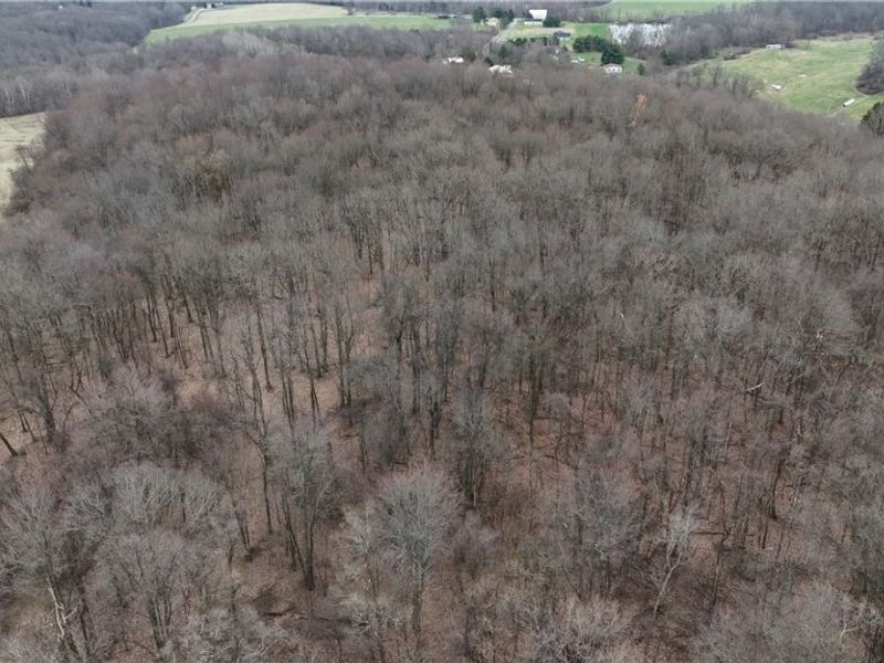 Cream Ridge Road, Lisbon, OH 44432 Photo 3