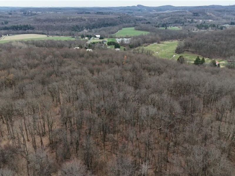 Cream Ridge Road, Lisbon, OH 44432 Photo 4