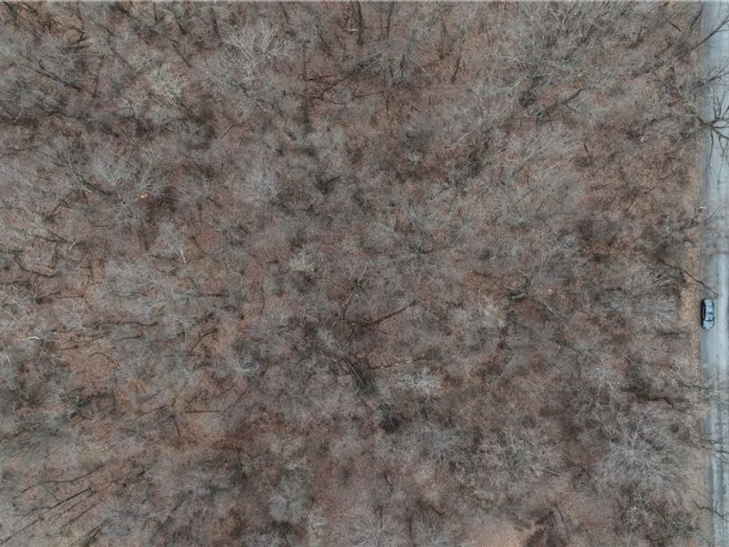 Cream Ridge Road, Lisbon, OH 44432 Photo 6