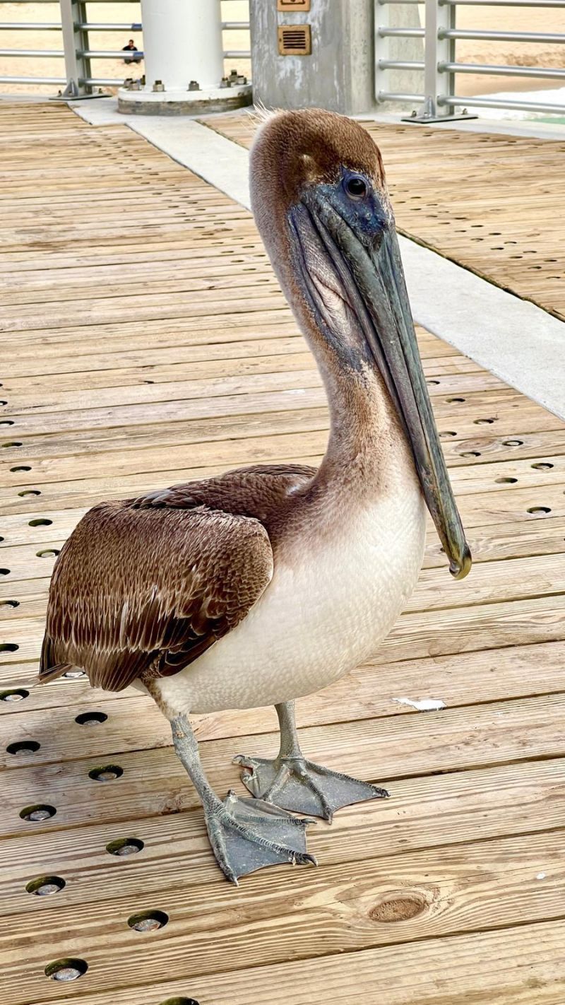 3212 NE 12th Street, Pompano Beach, FL 33062 Photo