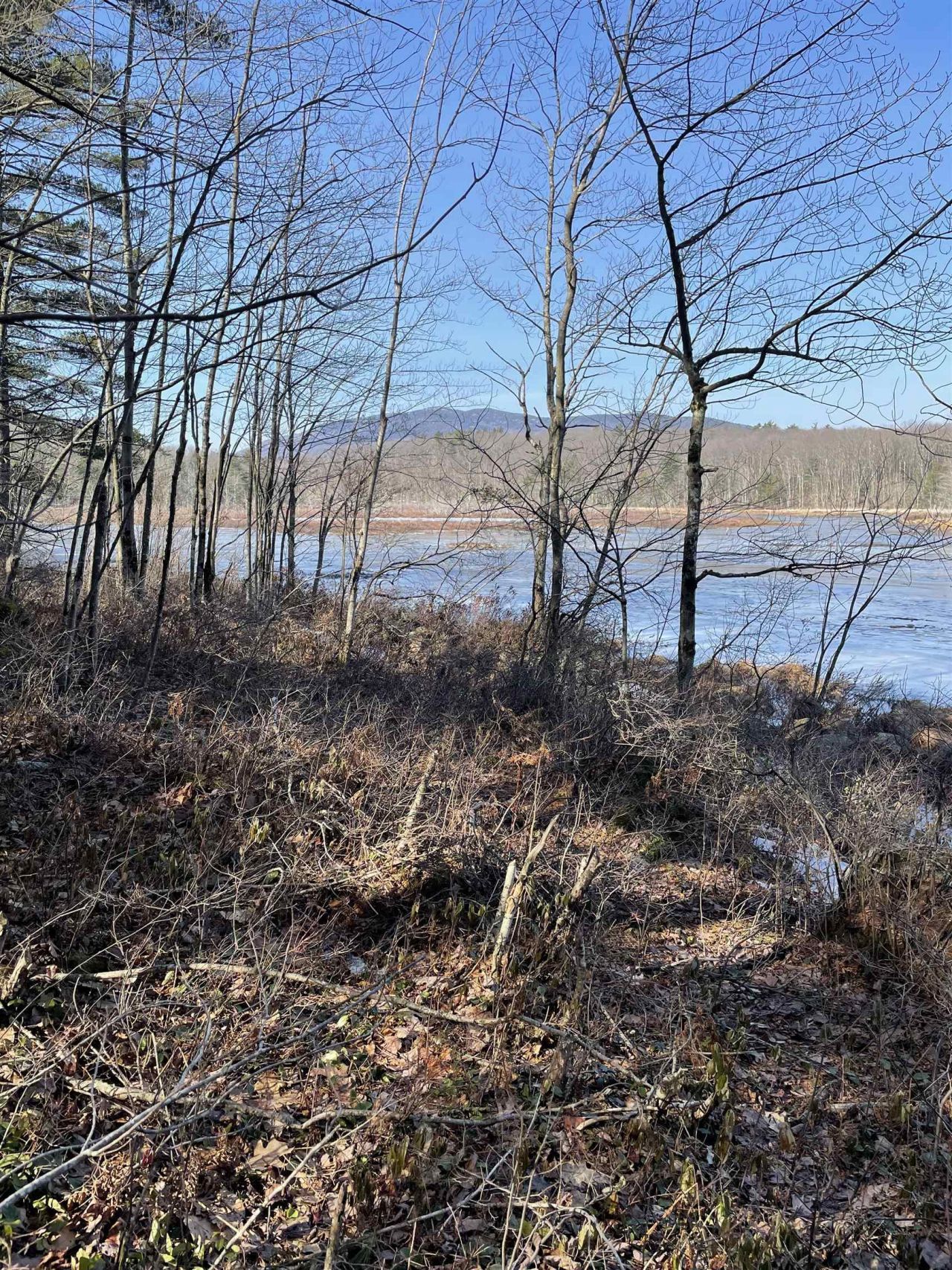 0 Windmill Hill Road, Dublin, NH 03444 Main Photo