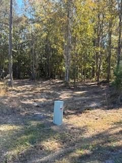 316 Herrin Road, Woodbine, GA 31569 Main Photo