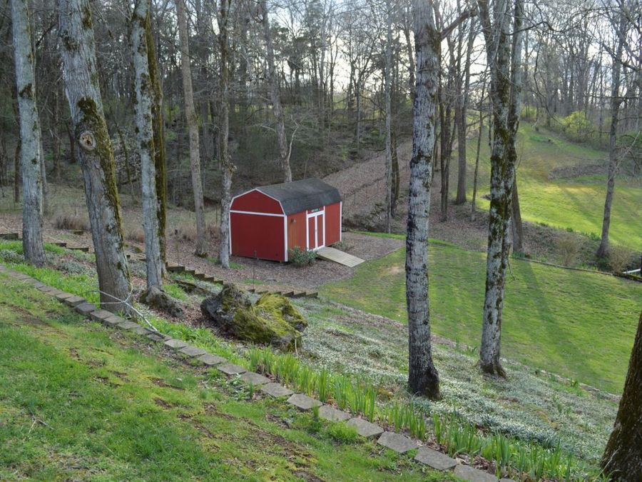 Property Image 13