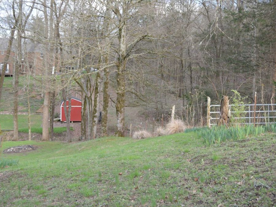 Property Image 7