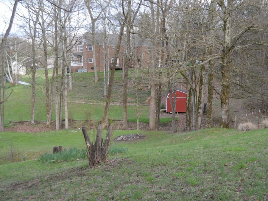 Property Image 8