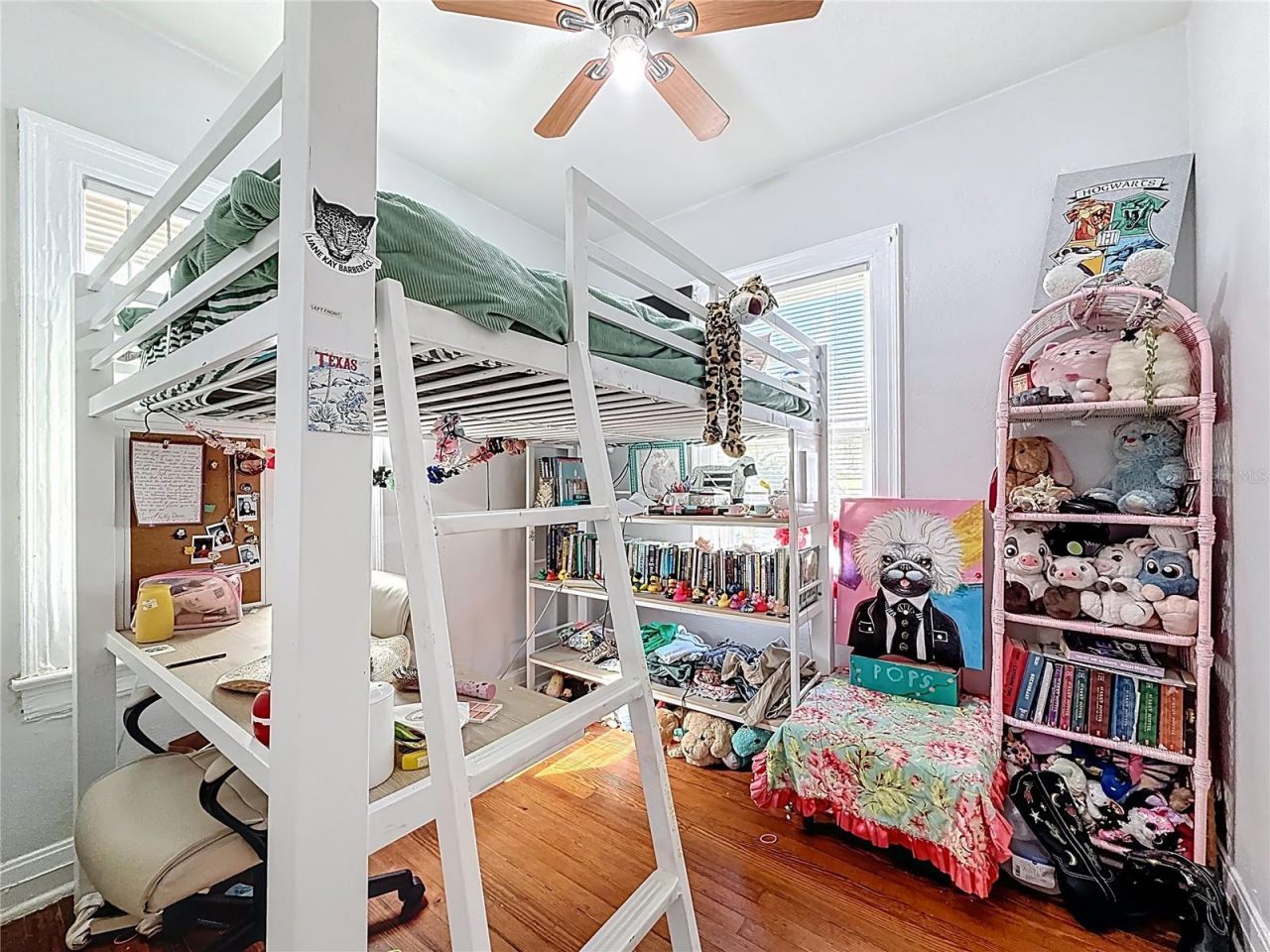 146 13th Avenue Ne, Saint Petersburg, FL 33701 Photo