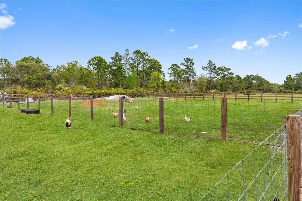 7813 Camp Mack Road, Lake Wales, FL 33898 Photo