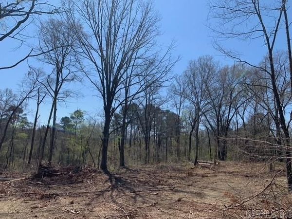 Tract 1 11395 Hwy 84, Bismarck, AR 71929