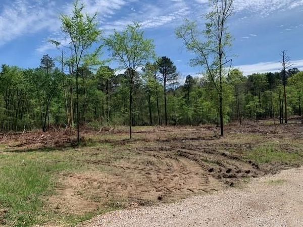 Tract 1 11395 Hwy 84, Bismarck, AR 71929