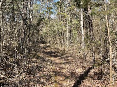 53 Caney Branch Spur Road, Burnside, KY 42519