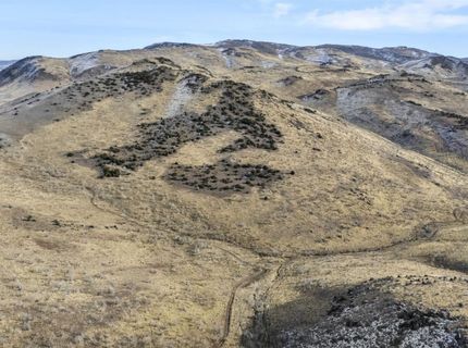 405 Stallion Drive, Reno, NV 89510 Photo