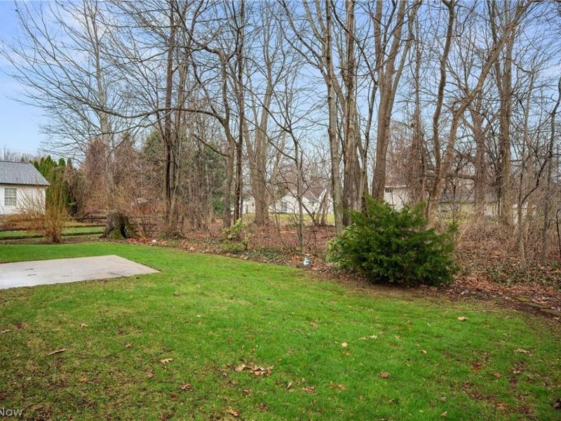 909 Lake Terrace Drive, Painesville, OH 44077 Photo 3