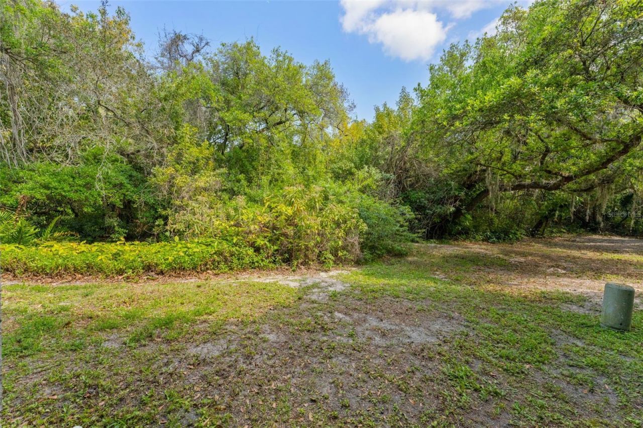 2055 Arbor Drive , Clearwater, FL 33760 Photo