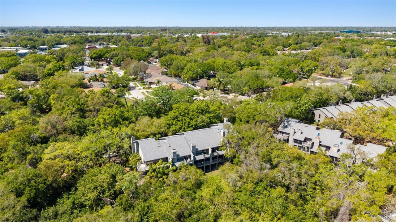 2055 Arbor Drive , Clearwater, FL 33760 Photo