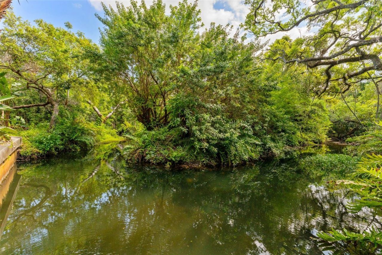 2055 Arbor Drive , Clearwater, FL 33760 Photo