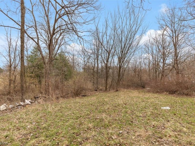 229 W 130th Street, Hinckley, OH 44233 Photo 33