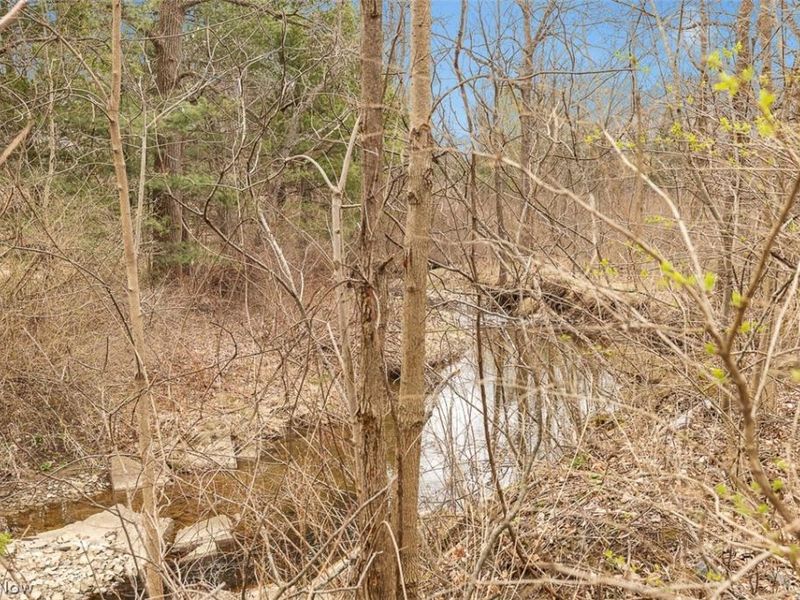 229 W 130th Street, Hinckley, OH 44233 Photo 35