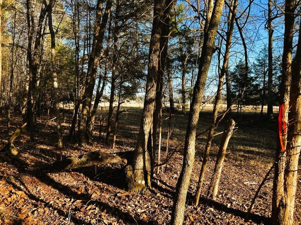 Tract 5 Charles Road, Decatur, TN 37322