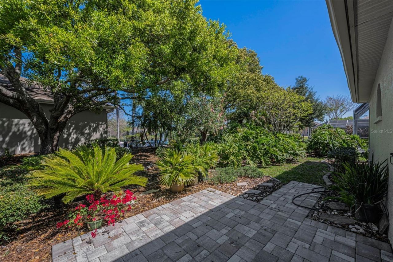 4777 Edge Park Drive , Oldsmar, FL 34677 Photo