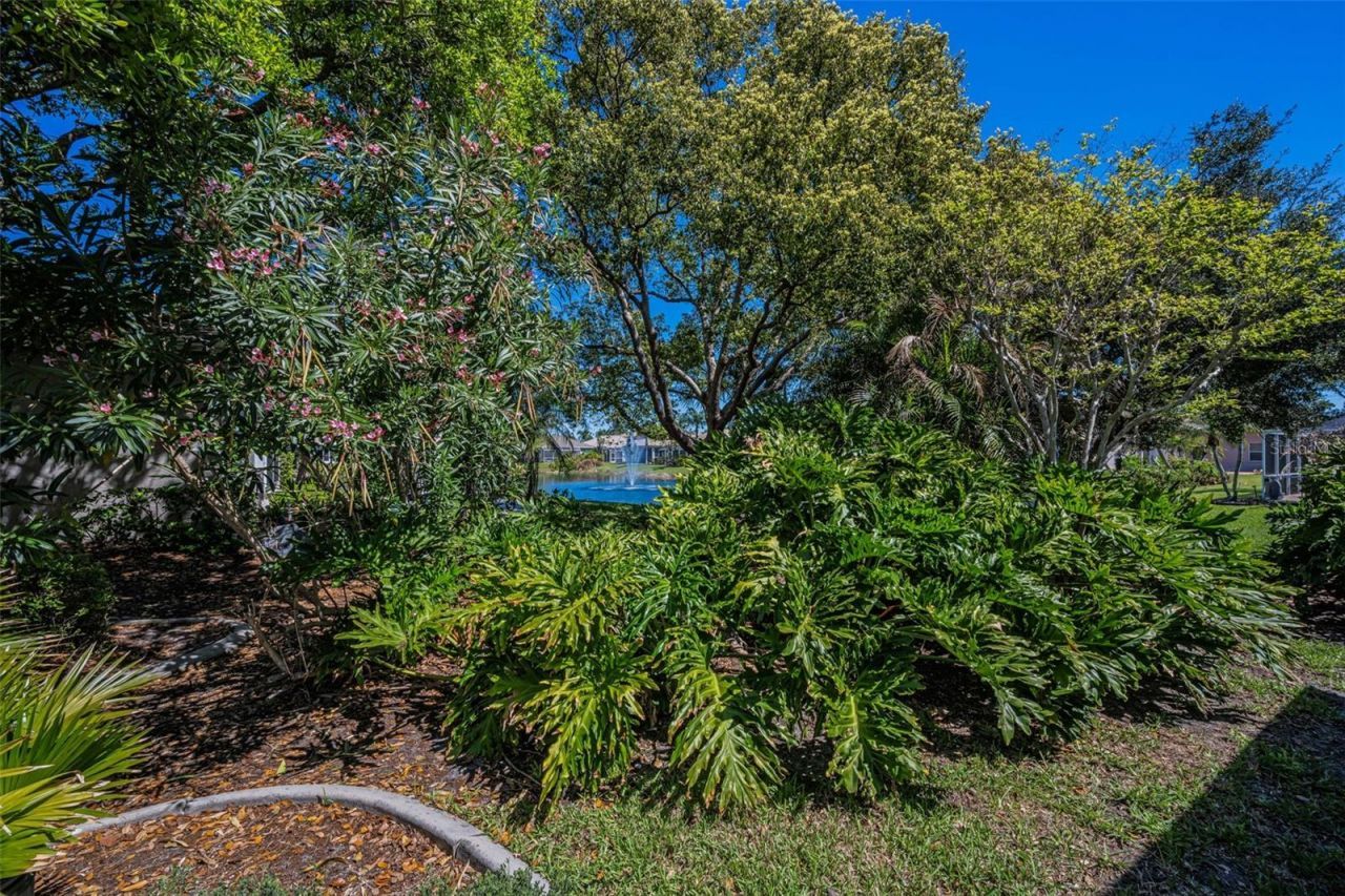 4777 Edge Park Drive , Oldsmar, FL 34677 Photo