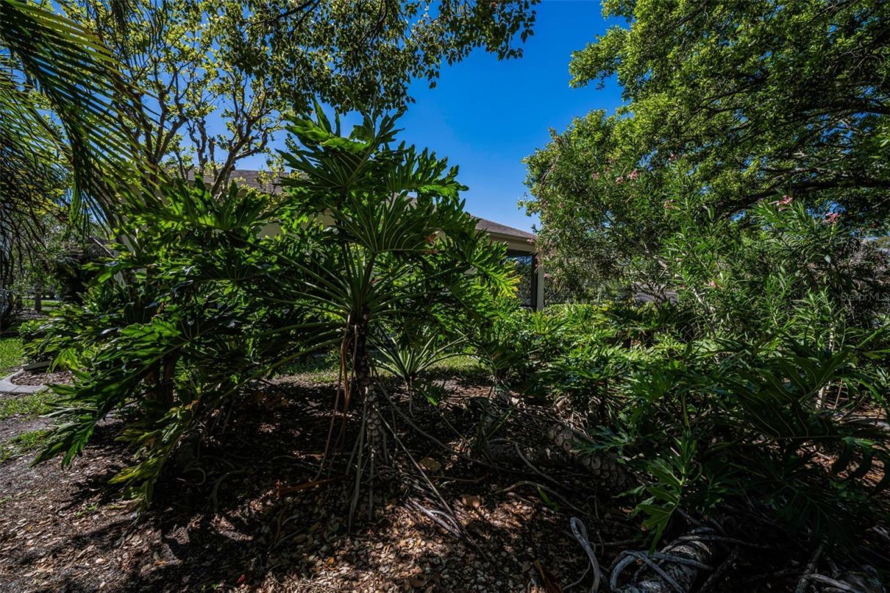 4777 Edge Park Drive , Oldsmar, FL 34677 Photo