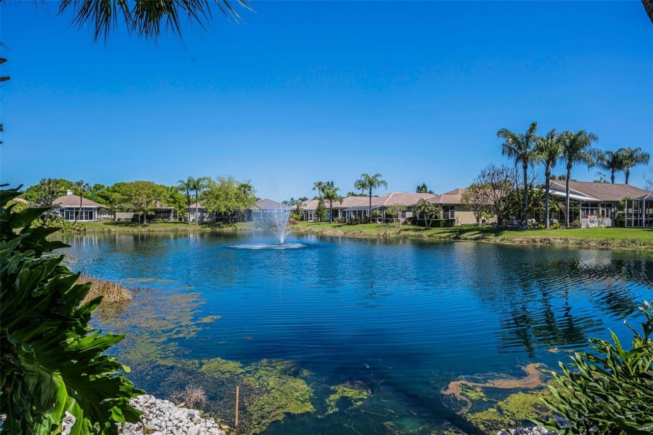 4777 Edge Park Drive , Oldsmar, FL 34677 Photo