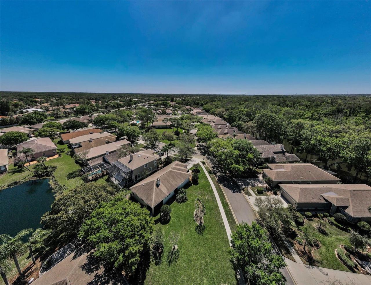 4777 Edge Park Drive , Oldsmar, FL 34677 Photo