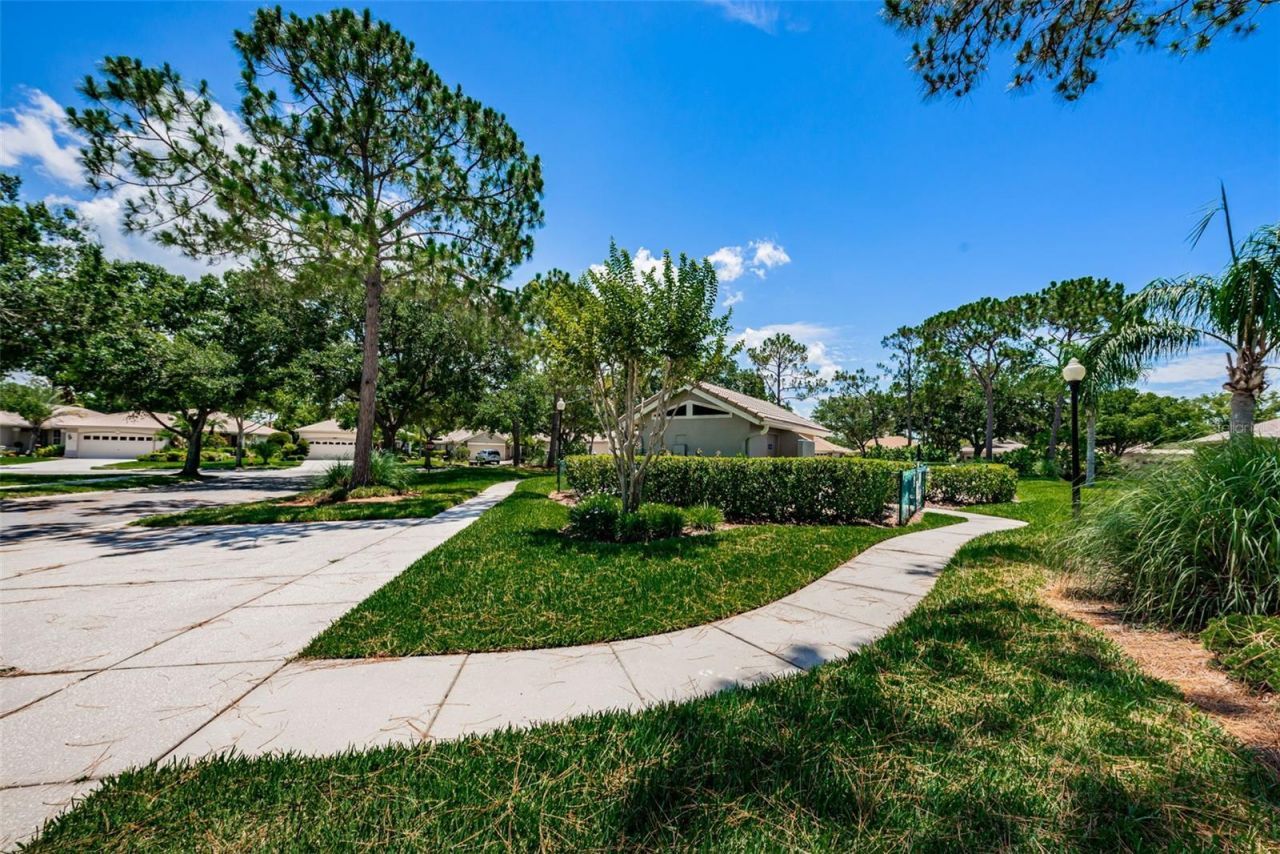 4777 Edge Park Drive , Oldsmar, FL 34677 Photo