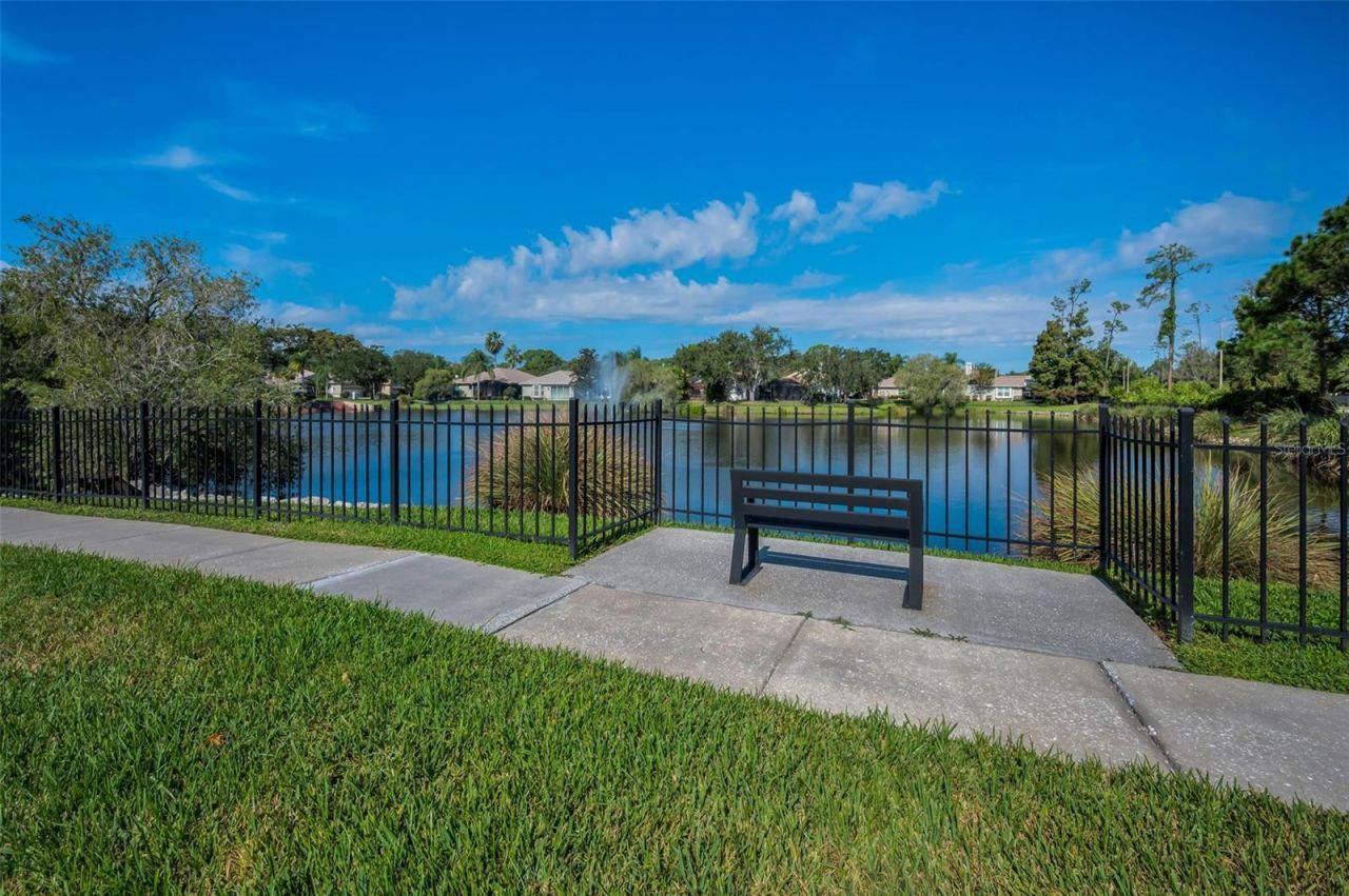 4777 Edge Park Drive , Oldsmar, FL 34677 Photo