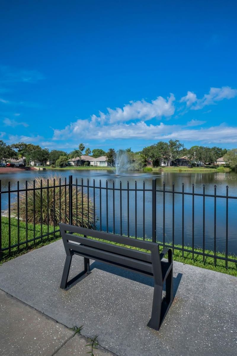 4777 Edge Park Drive , Oldsmar, FL 34677 Photo