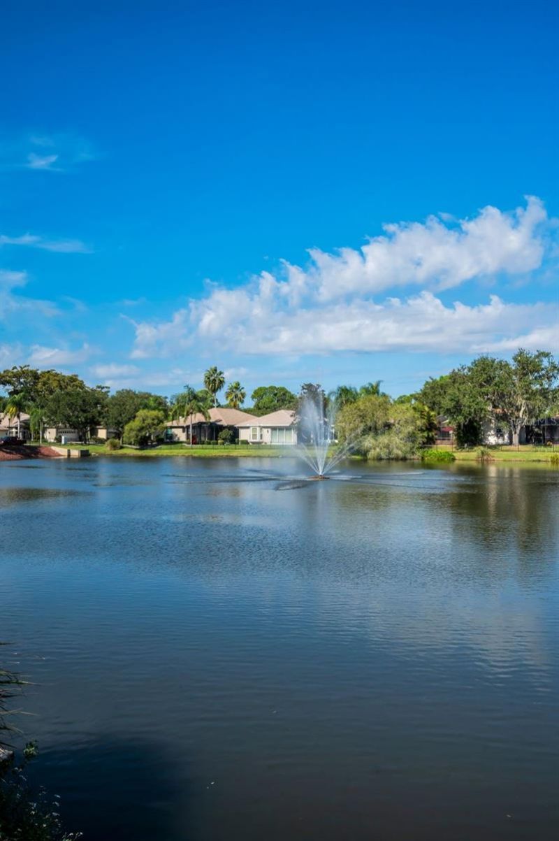 4777 Edge Park Drive , Oldsmar, FL 34677 Photo