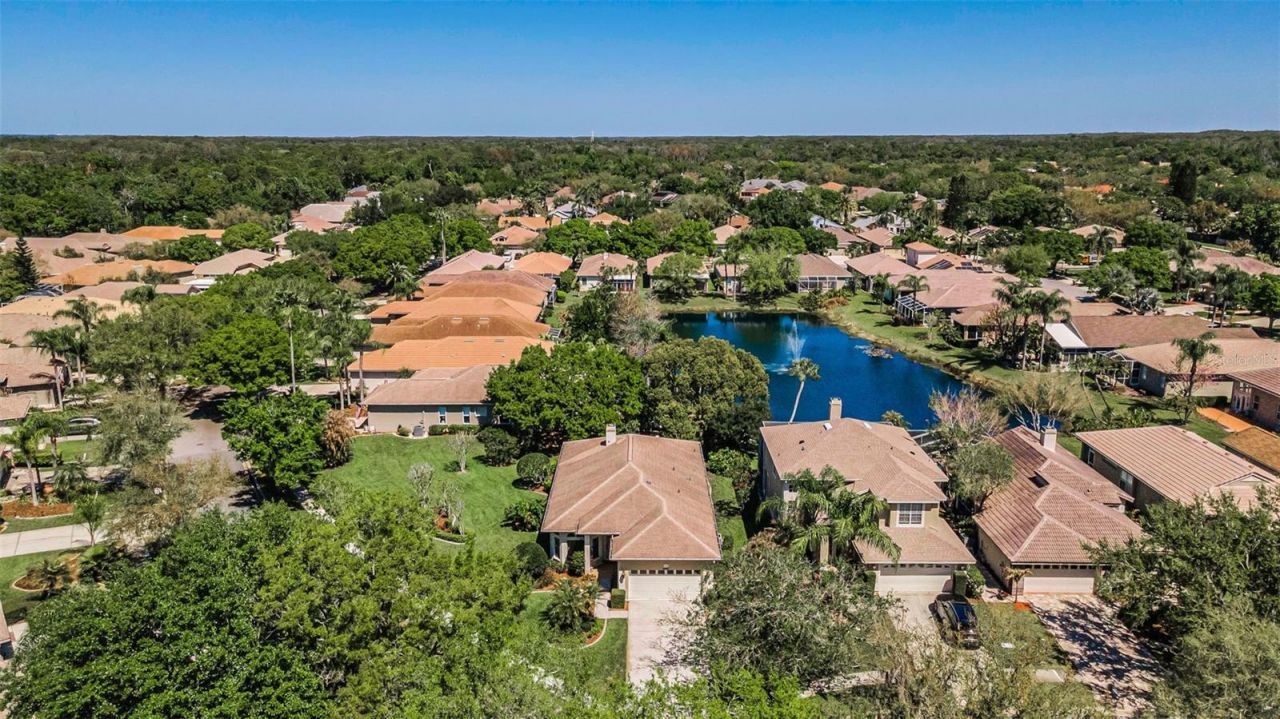 4777 Edge Park Drive , Oldsmar, FL 34677 Photo