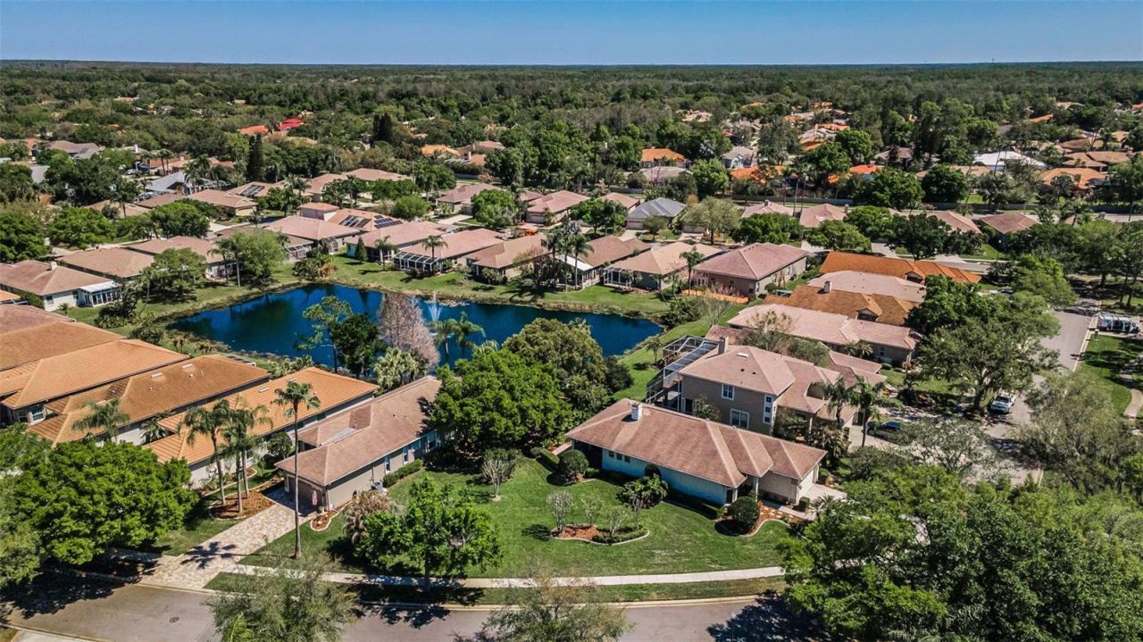 4777 Edge Park Drive , Oldsmar, FL 34677 Photo