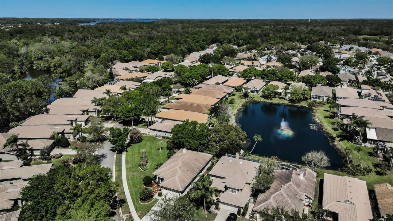 4777 Edge Park Drive , Oldsmar, FL 34677 Photo