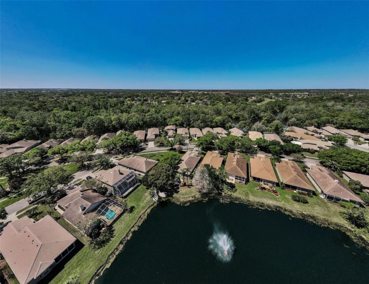 4777 Edge Park Drive , Oldsmar, FL 34677 Photo