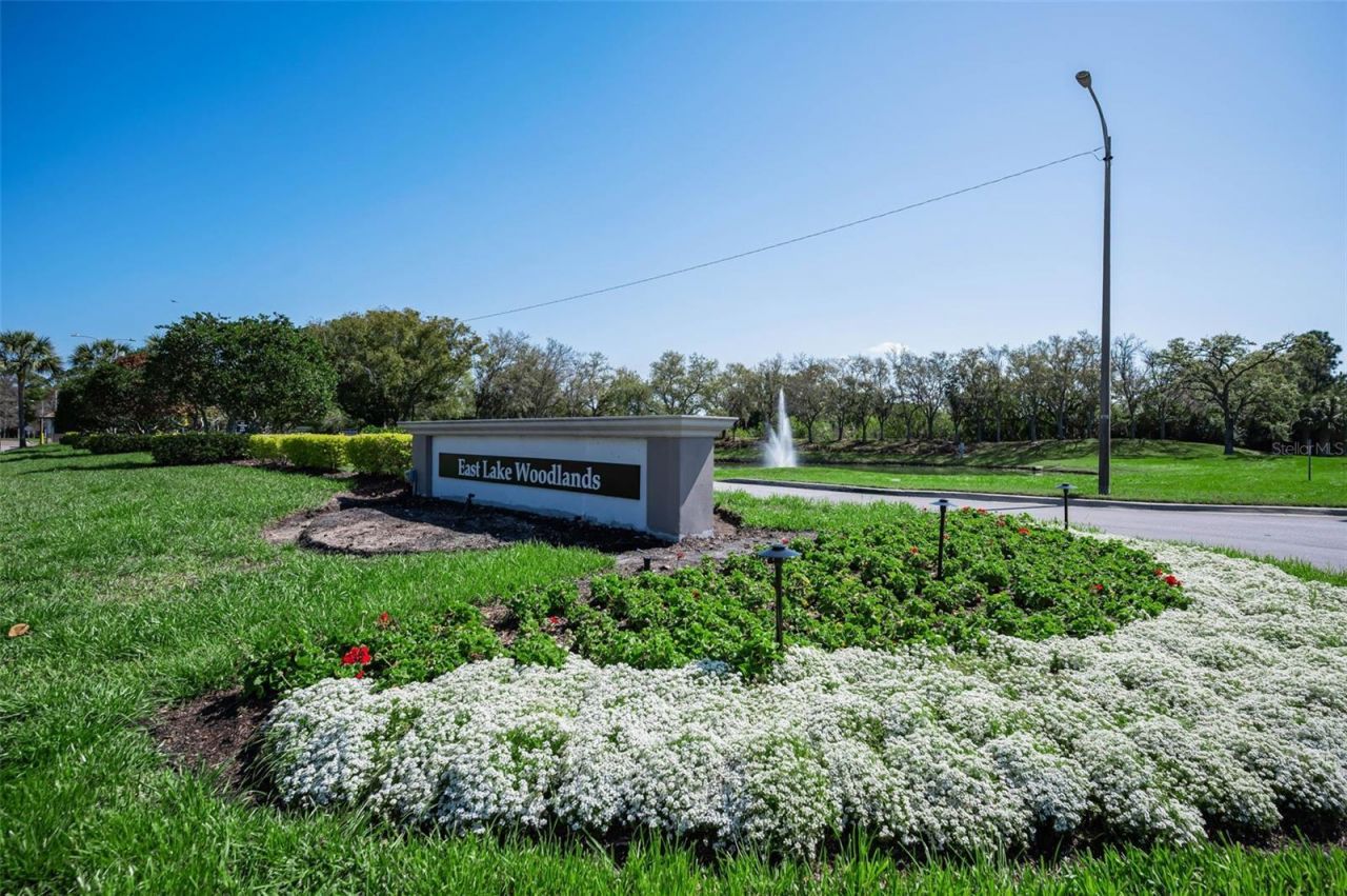 4777 Edge Park Drive , Oldsmar, FL 34677 Photo