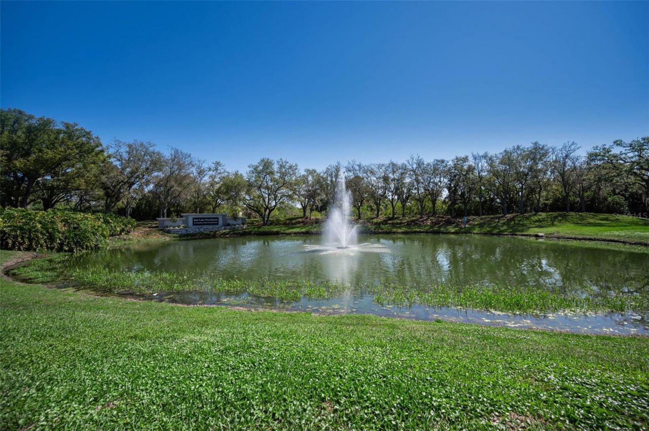 4777 Edge Park Drive , Oldsmar, FL 34677 Photo