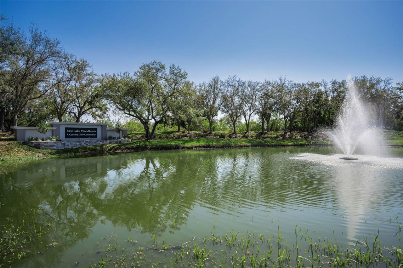 4777 Edge Park Drive , Oldsmar, FL 34677 Photo