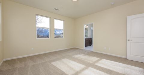 865 Furlong Drive, Unit Lot 37, Minden, NV 89423 Photo