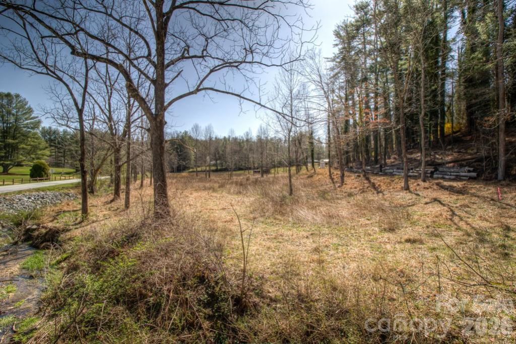 9999 Kanuga Lake Road, Hendersonville, NC 28739 Main Photo