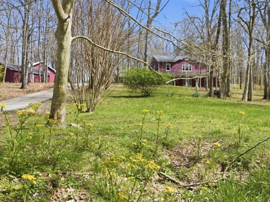 Property Image 61