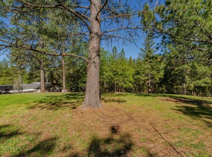 16270 Meadow View Rd, Sutter Creek, CA 95685 Photo