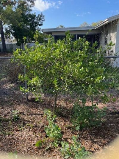 1924 62nd Avenue Ne, Saint Petersburg, FL 33702 Photo