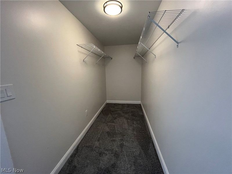 13325 Carrington Avenue, Cleveland, OH 44135 Photo 25