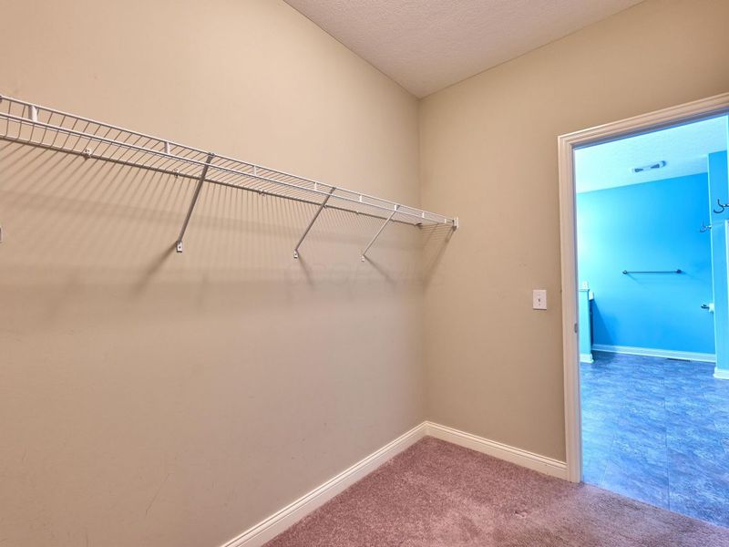 244 Cambridge Road, Delaware, OH 43015 Photo 44