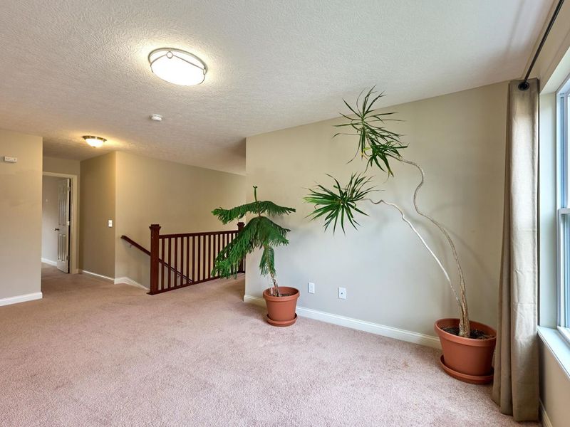 244 Cambridge Road, Delaware, OH 43015 Photo 48