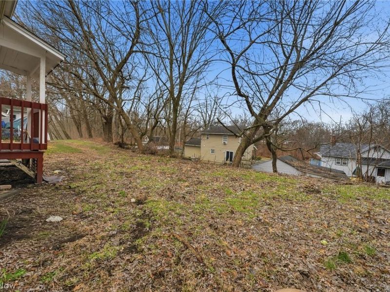 262 Sobul Avenue, Akron, OH 44305 Photo 17