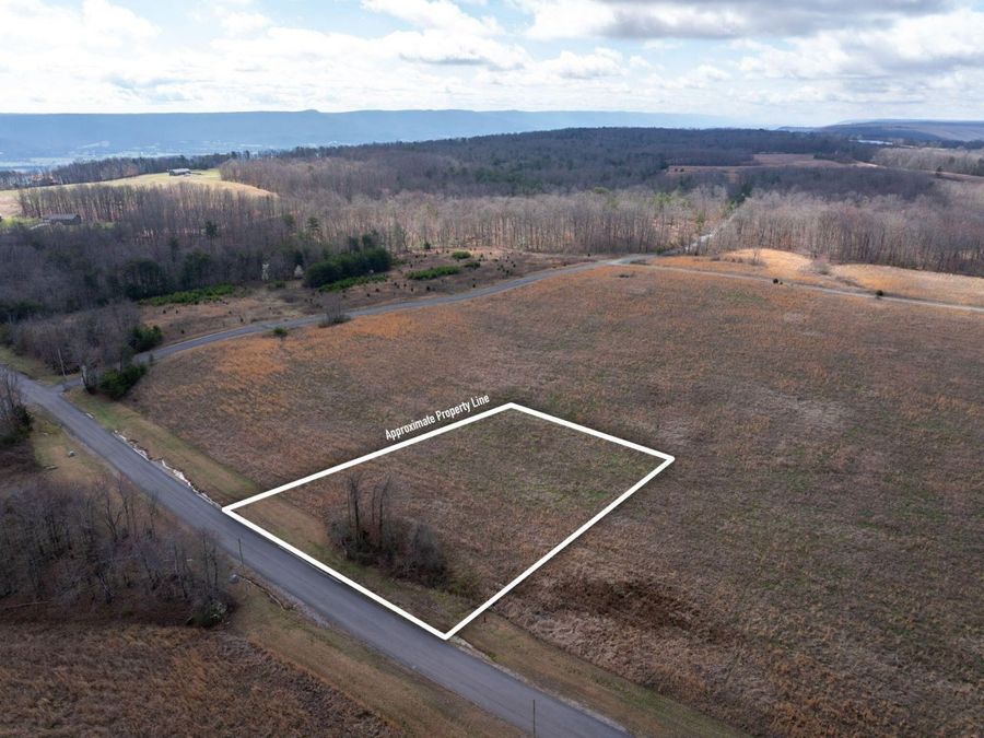Property Image 1