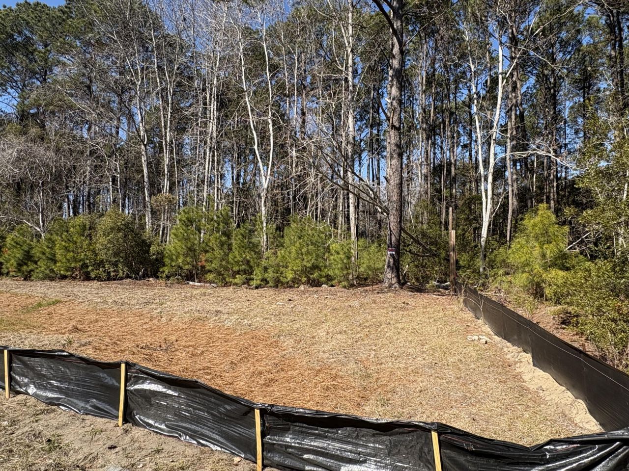 3864 Abe White Road Photo 5